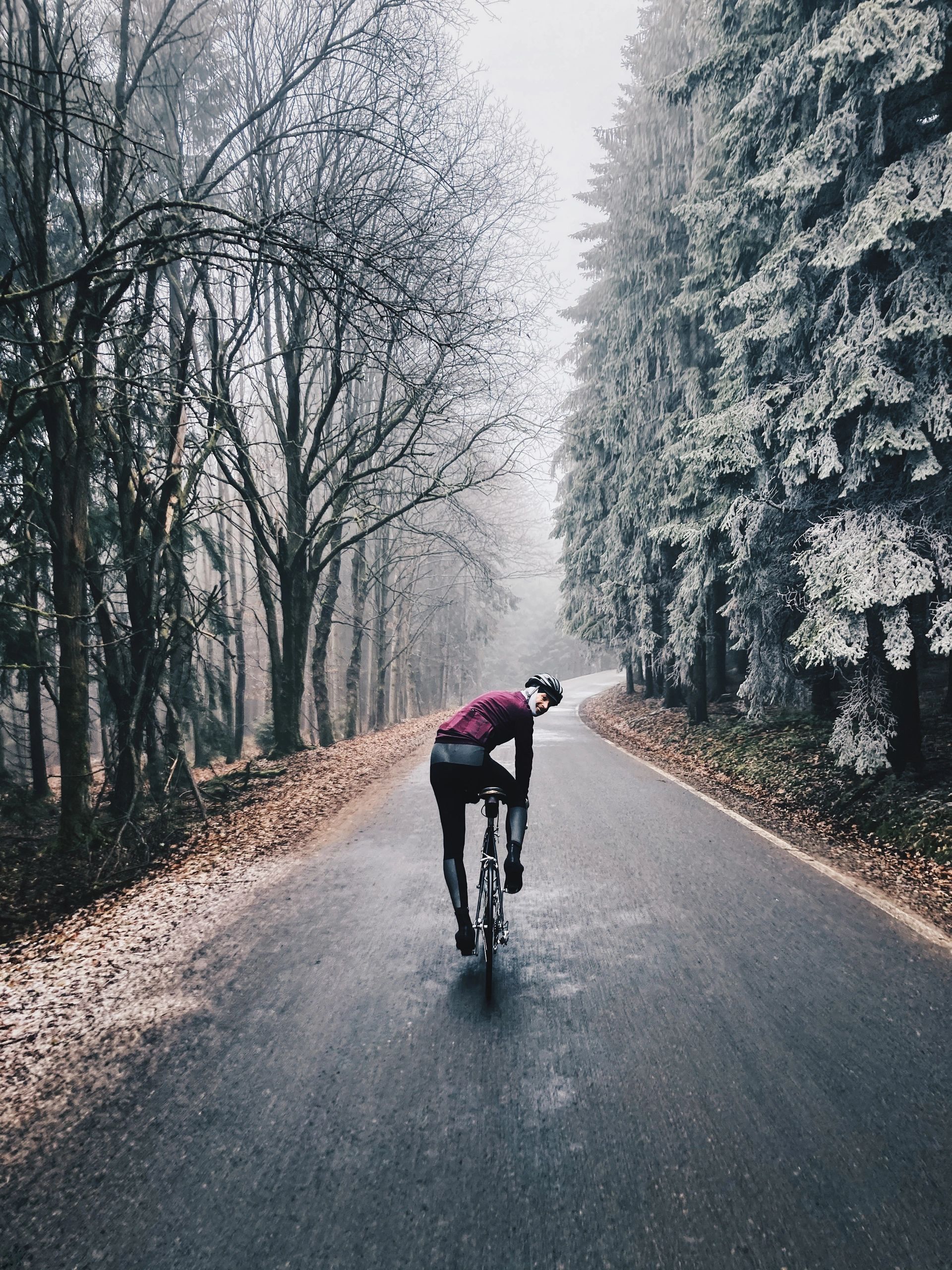 cyclist portrait
